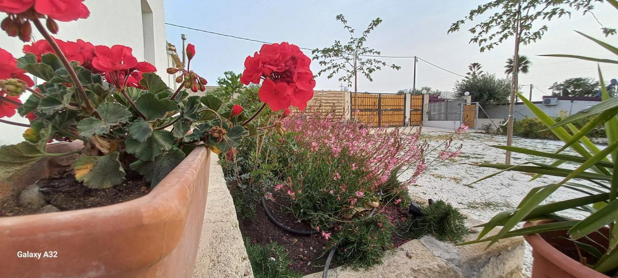 Almademari Giglio Casa Vacanza Pachino Zimmer foto